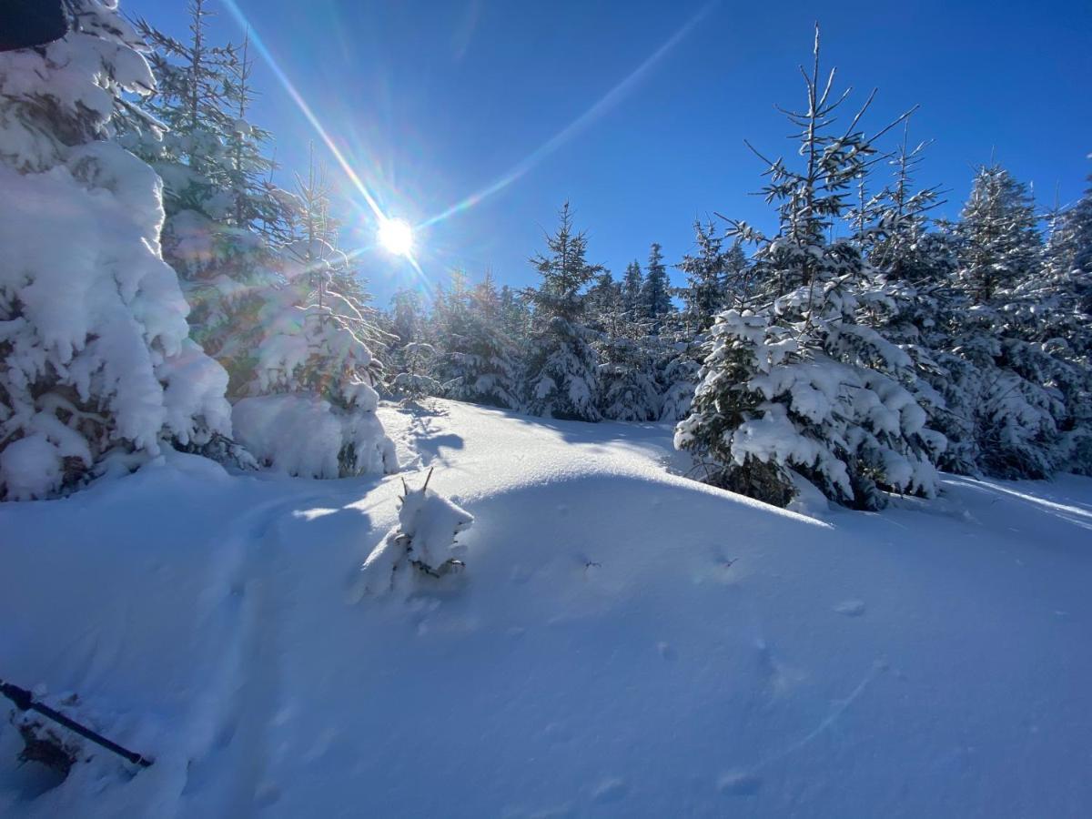 Mit Sommercard Apartment Winterberg