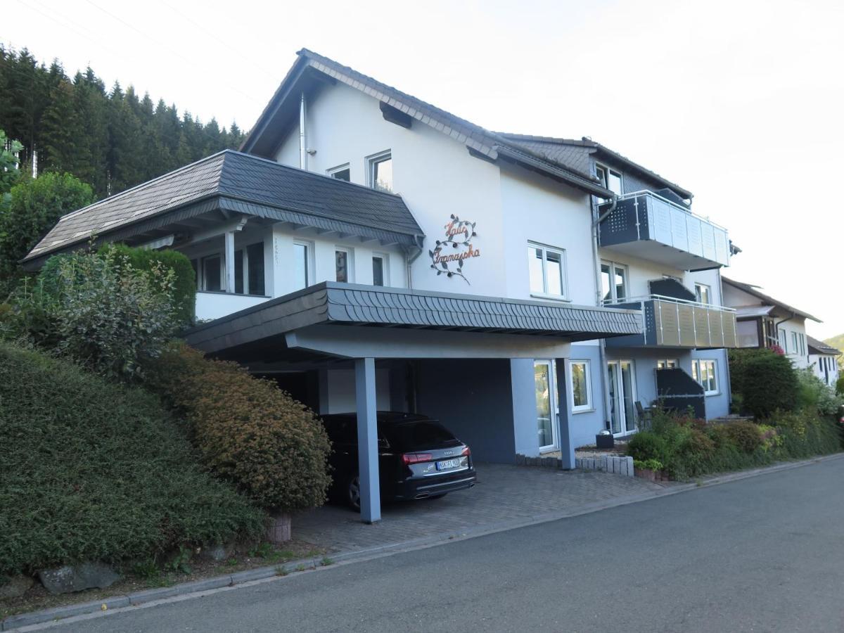 Apartment Mit Sommercard Winterberg